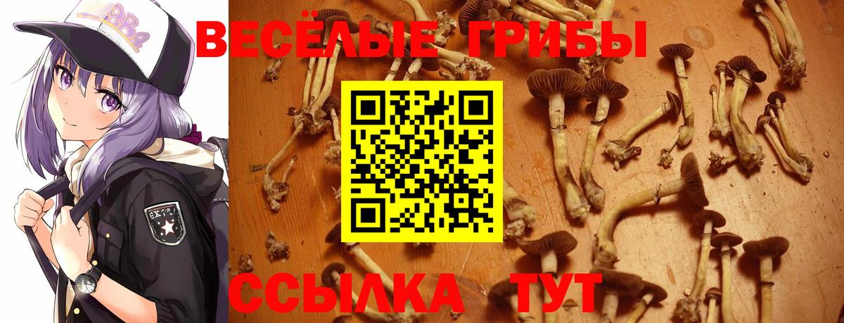 Северодвинск  Галлюциногенные грибы Magic Shrooms  даркнет сайт  Вход с VPN 